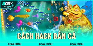hack-ban-ca